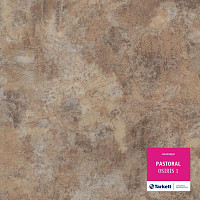 Линолеум Tarkett Pastoral OSIRIS 1 фото 1 | FLOORDEALER